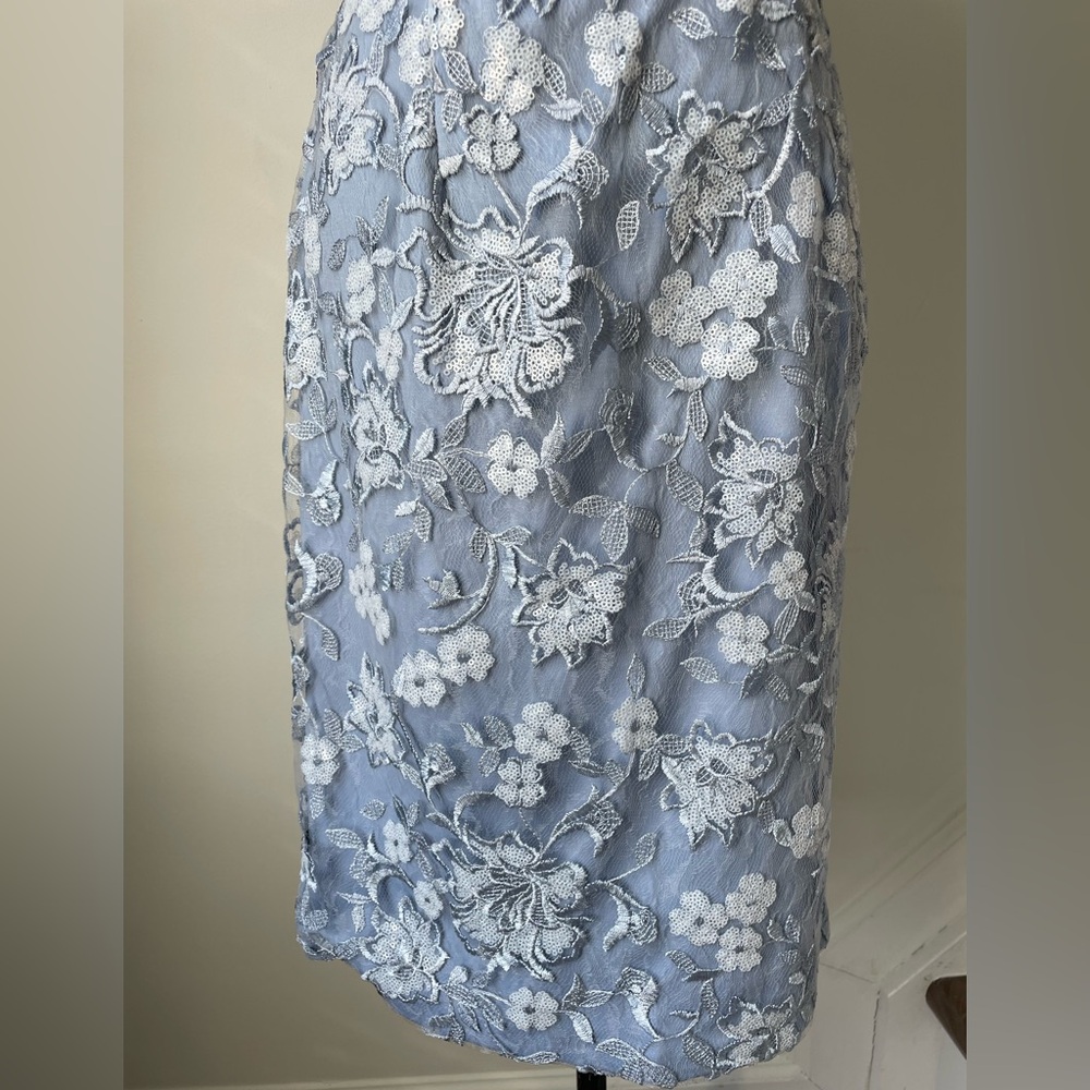 Elegant Carolina Blue sequined Floral embellished Dress - Picture 4 of 7